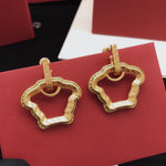 Fashionable drop earrings-3
