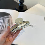 Fashionable Hair Clip - 2